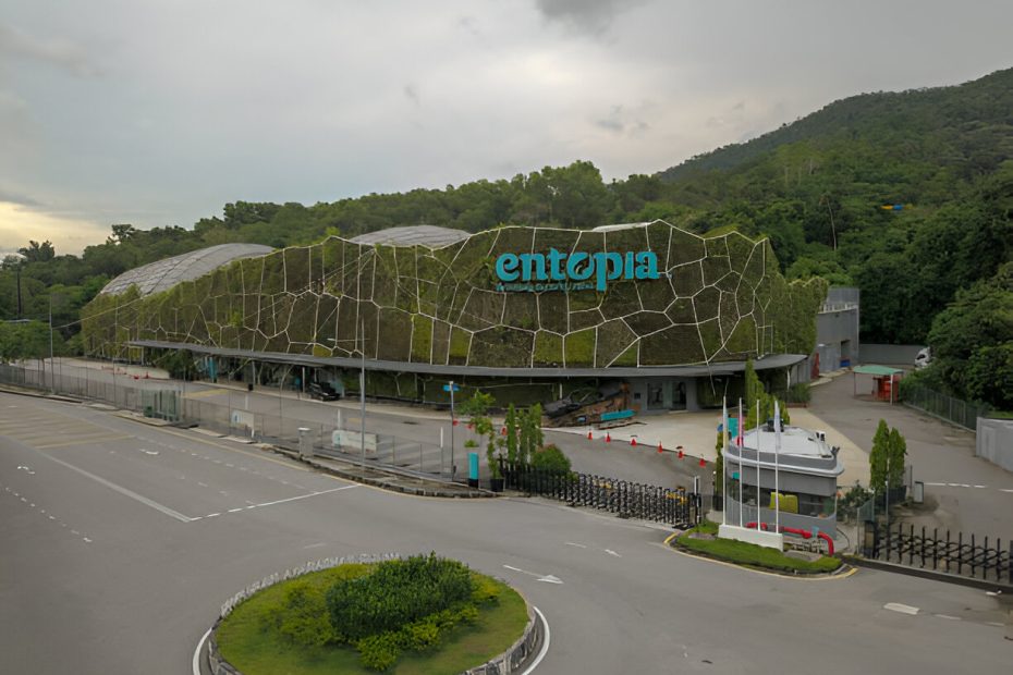 entopia penang - medisinfo2u.com